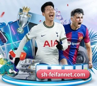 五个功能入口,赛程查询路径更短